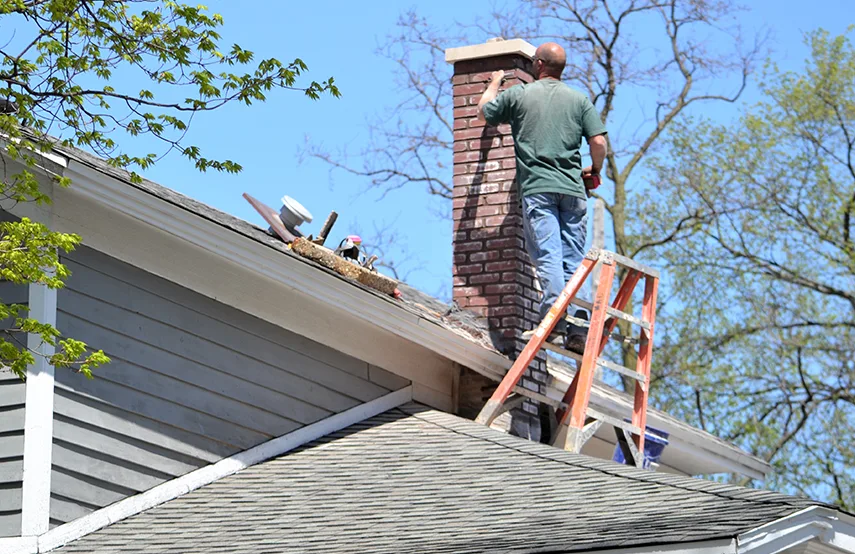 Chimney & Fireplace Inspections Services in La Porte, TX